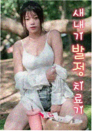 九重锦海报